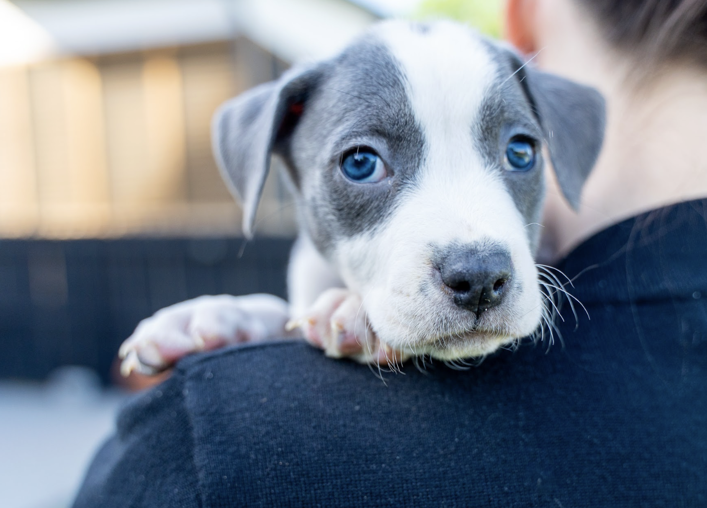 Screenshot 2026-04-23 at 2.20.07 PM.png