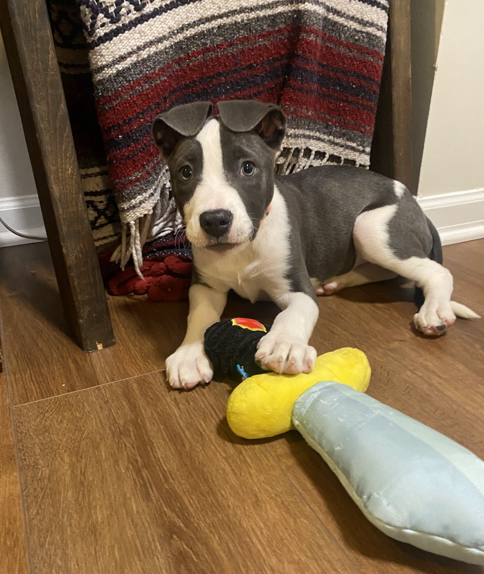 Screenshot 2025-12-26 at 4.57.42 PM.png