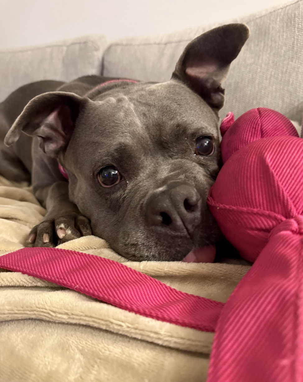 Screenshot 2026-02-16 at 6.13.16 PM.png