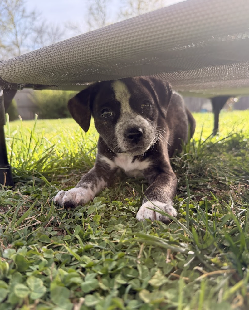 Screenshot 2026-03-27 at 7.55.12 PM.png