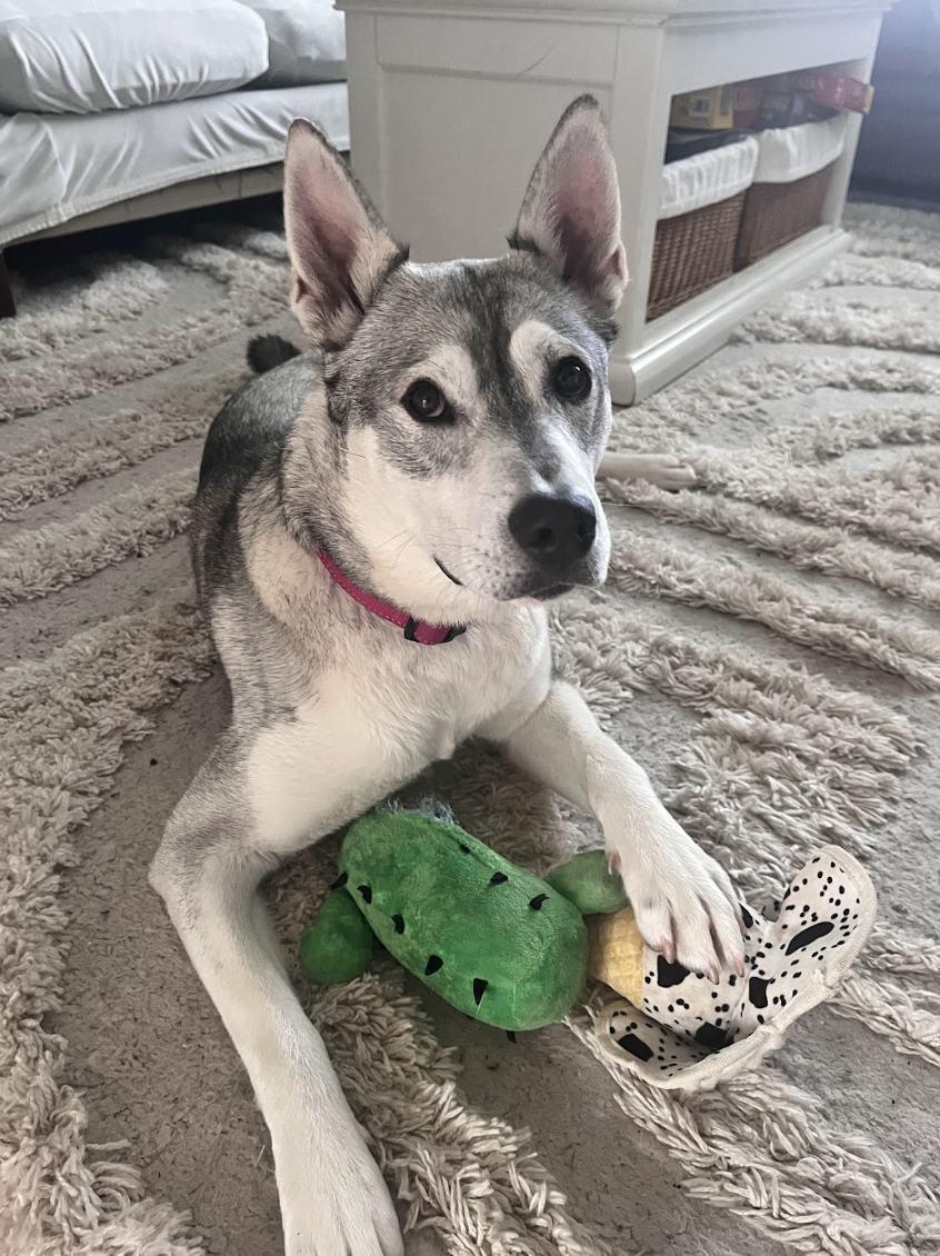 Screenshot 2026-04-20 at 8.10.55 PM.png