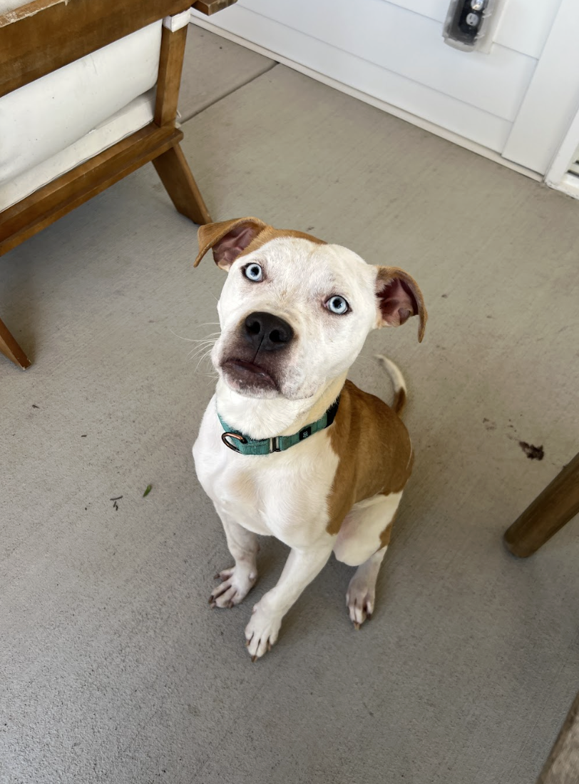 Screenshot 2026-02-13 at 12.14.56 PM.png