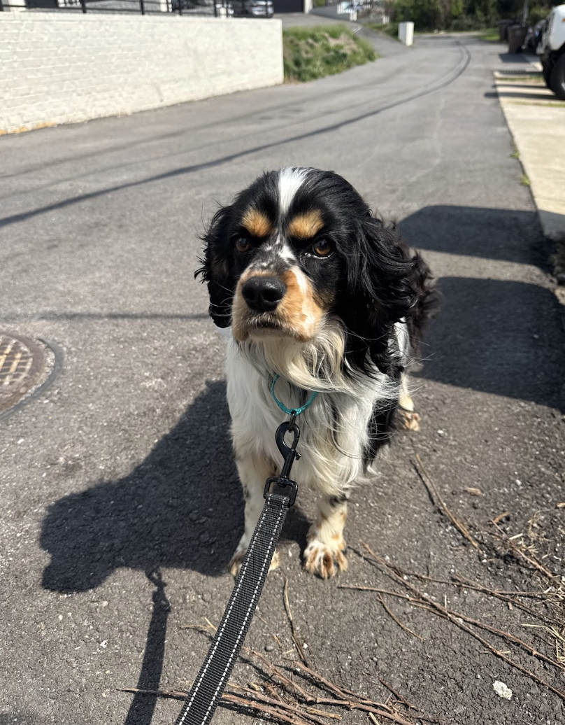 Screenshot 2026-03-21 at 2.28.10 PM.png