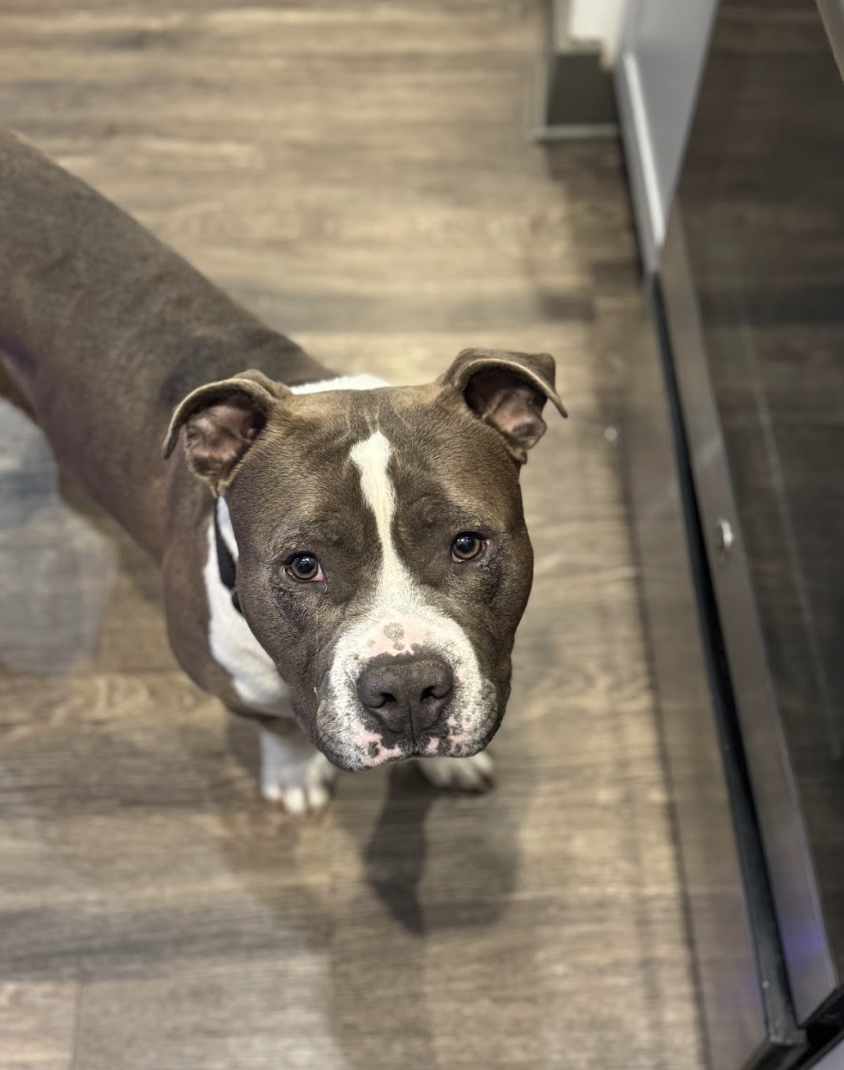 Screenshot 2026-03-20 at 4.00.28 PM.png