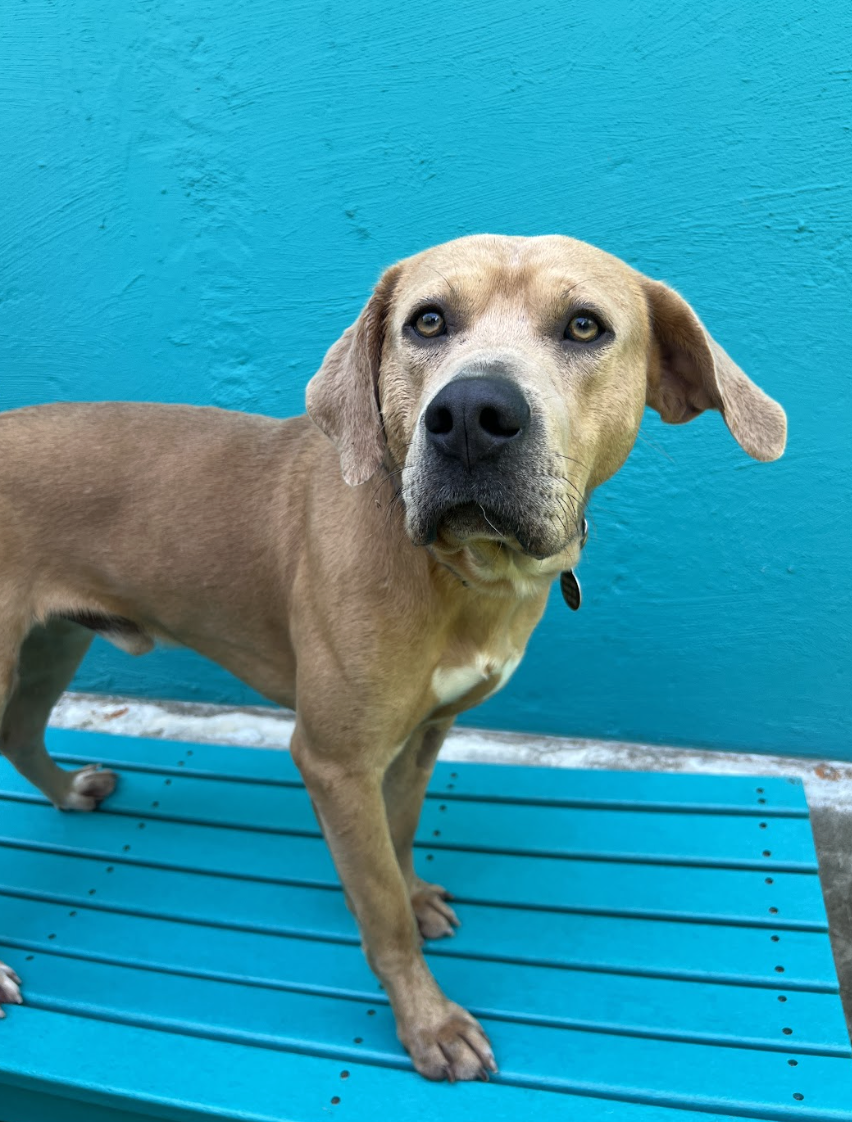 Screenshot 2026-04-22 at 5.20.08 PM.png