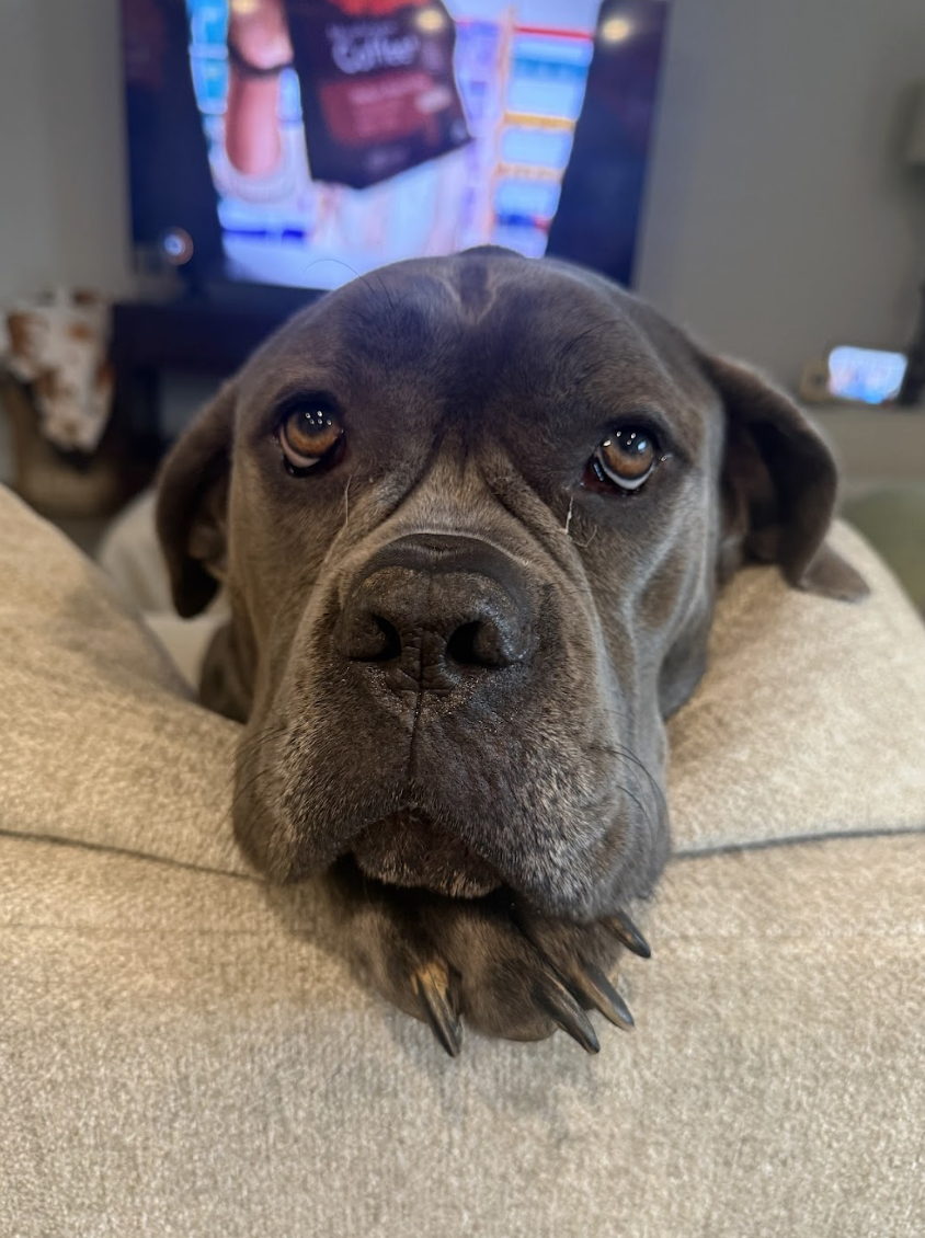 Screenshot 2026-04-22 at 2.56.58 PM.png