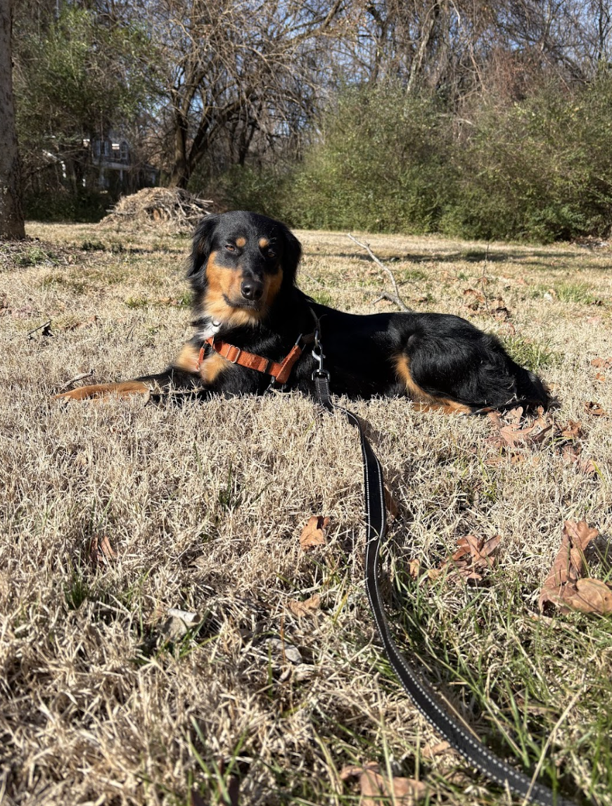 Screenshot 2026-01-14 at 9.25.36 PM.png