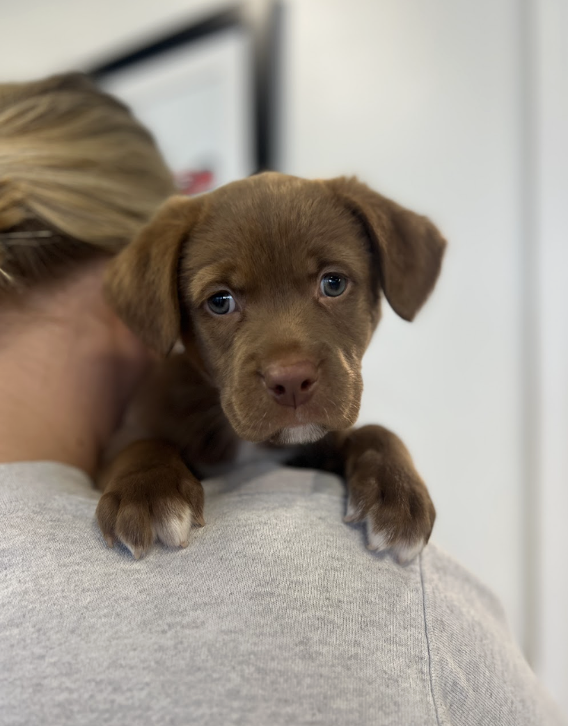 Screenshot 2026-02-14 at 5.48.39 PM.png