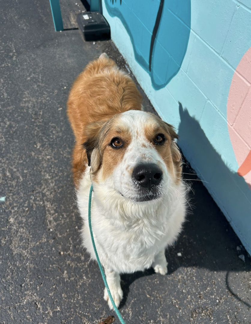 Screenshot 2026-03-18 at 4.20.53 PM.png