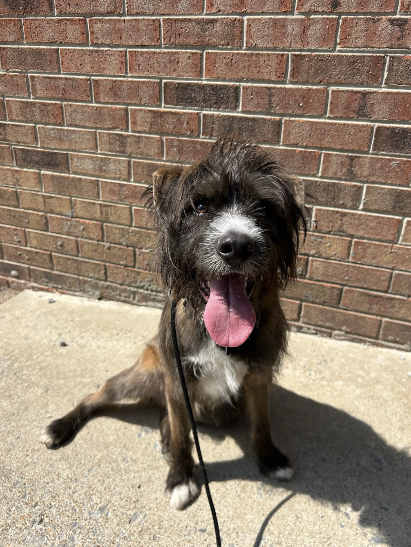 Screenshot 2026-03-26 at 2.29.32 PM.png