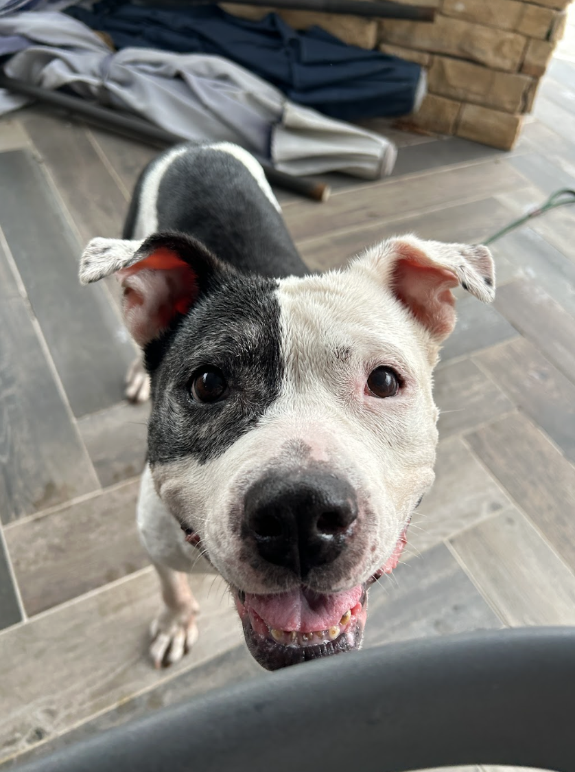 Screenshot 2026-03-30 at 6.30.44 PM.png