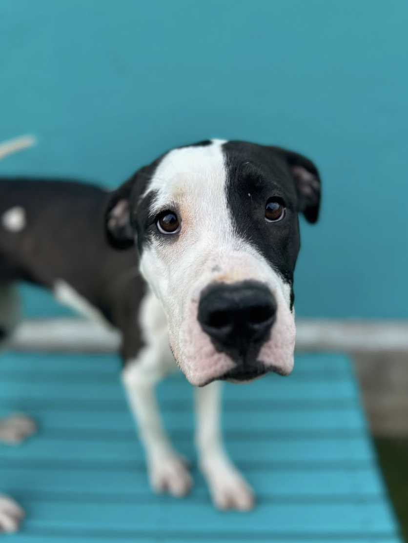 Screenshot 2026-02-12 at 2.56.32 PM.png