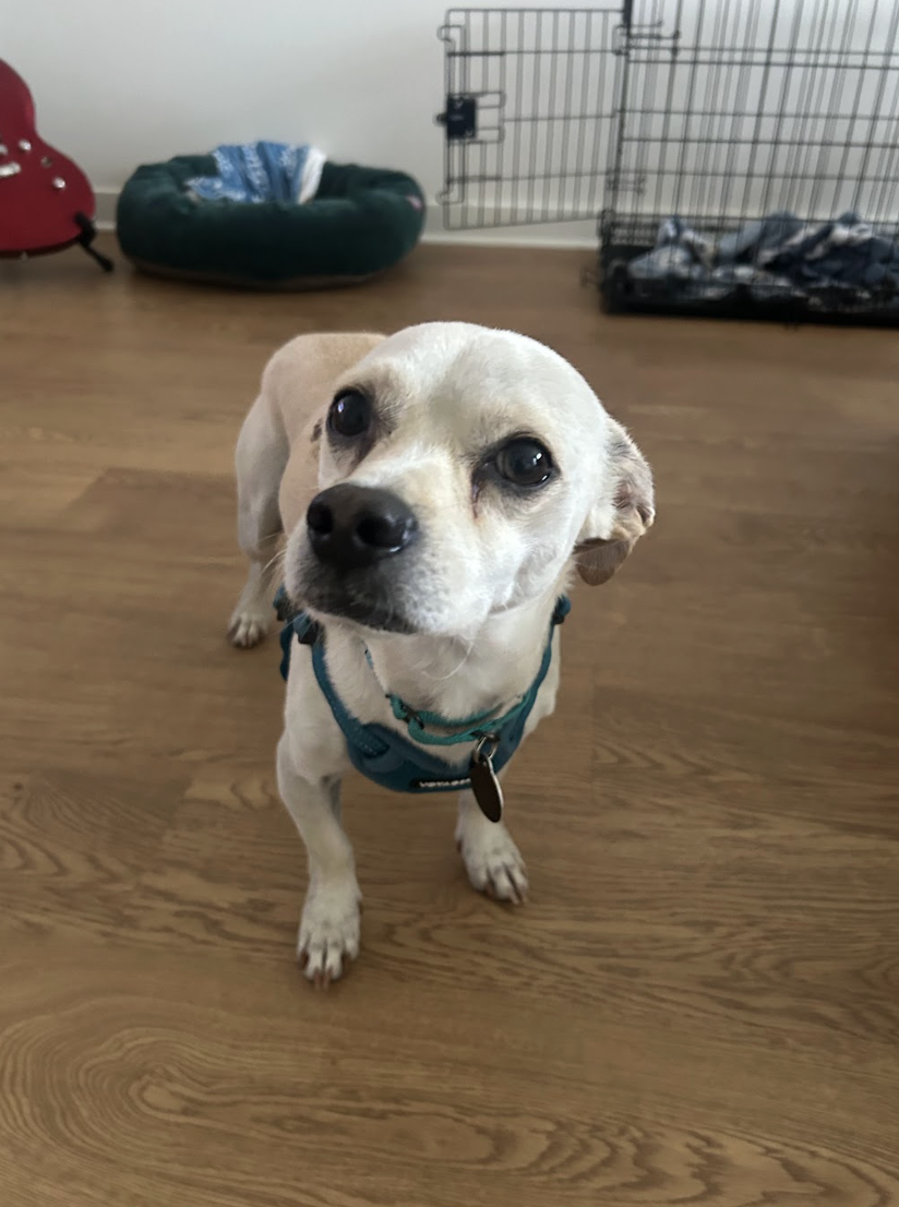 Screenshot 2026-04-22 at 5.12.12 PM.png