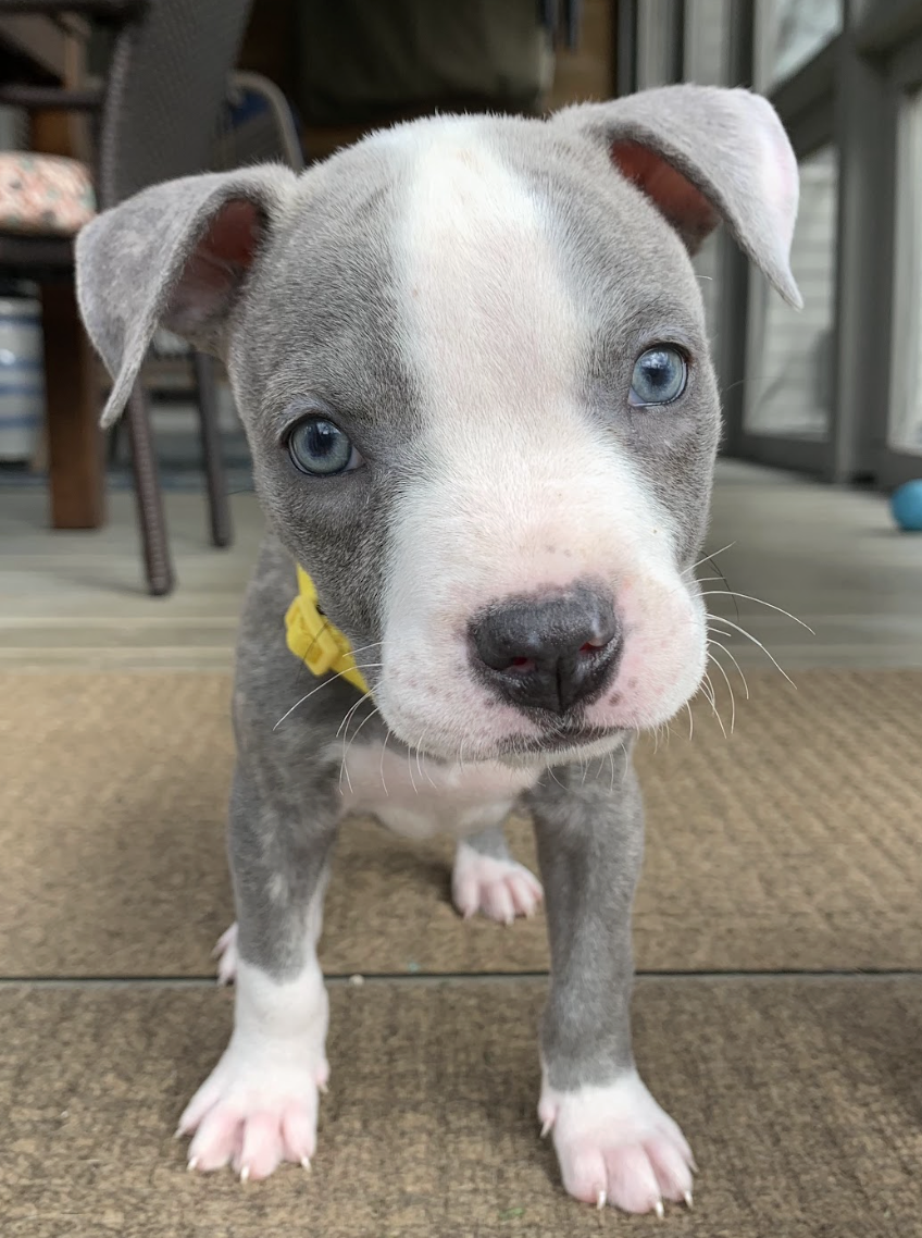 Screenshot 2026-03-14 at 1.35.49 PM.png