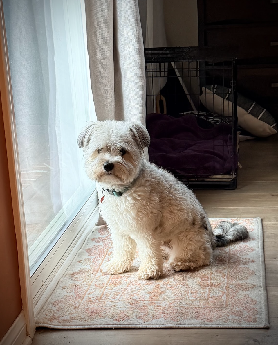 Screenshot 2026-01-09 at 11.50.21 AM.png