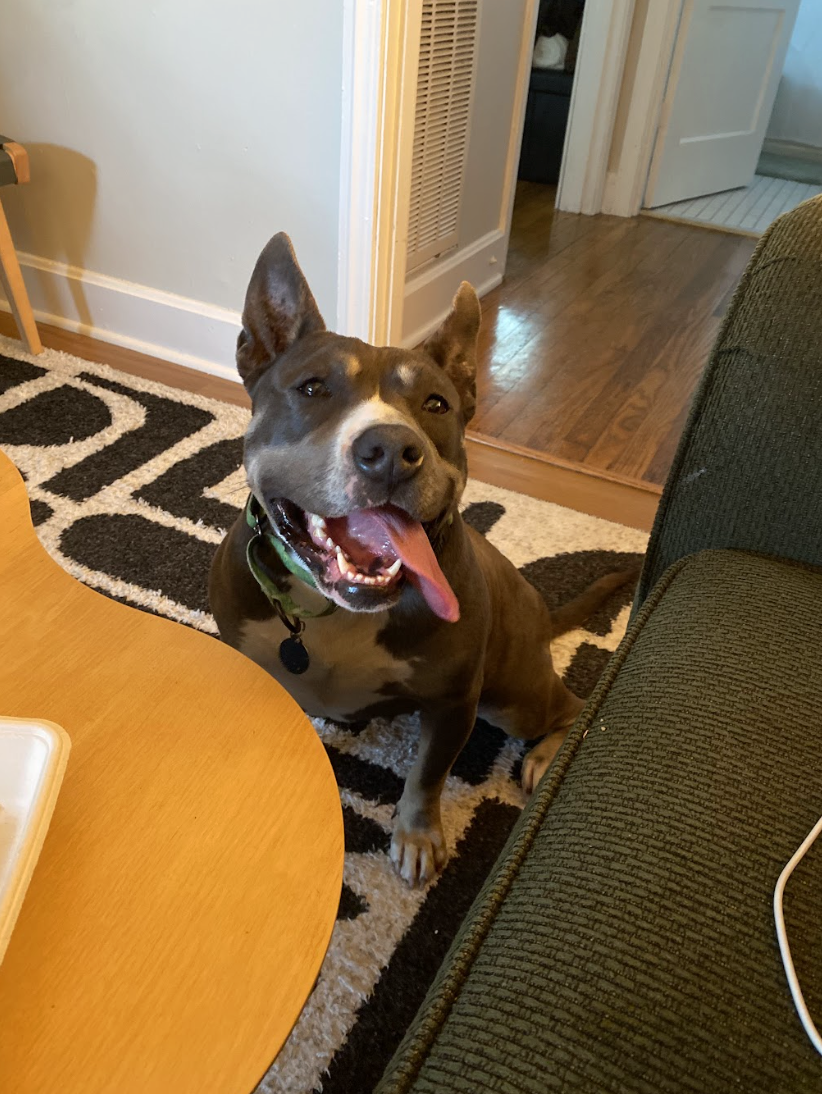 Screenshot 2026-04-14 at 3.09.36 PM.png