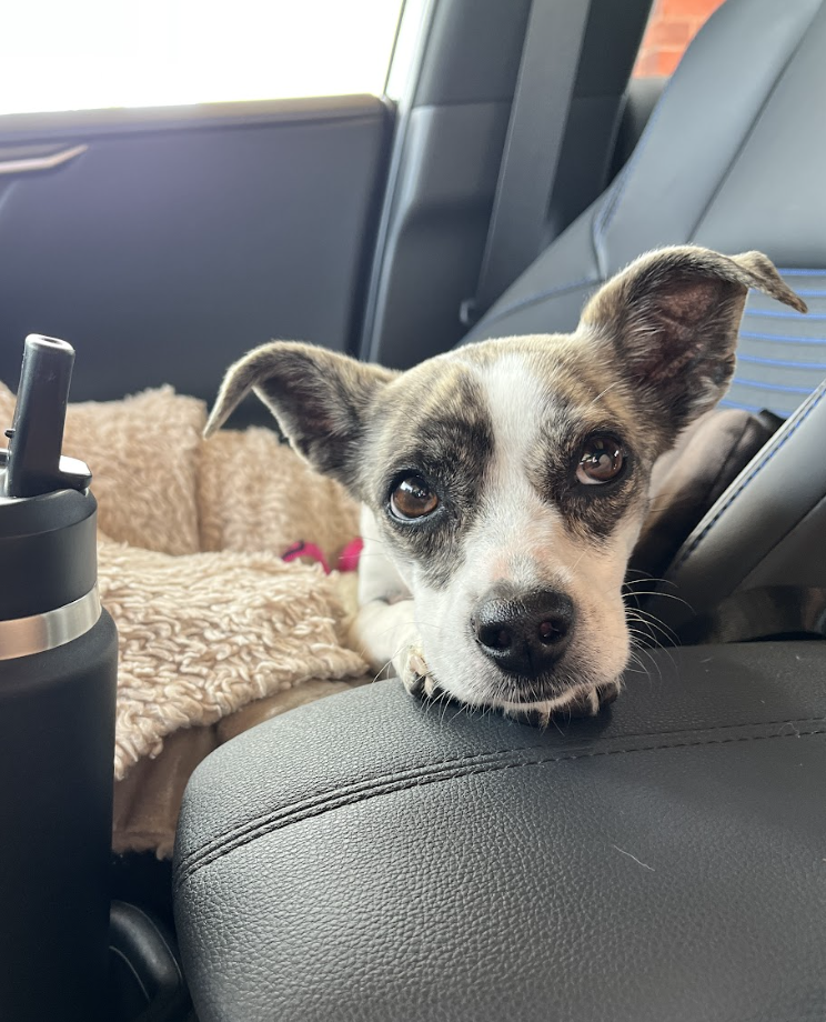 Screenshot 2026-04-22 at 3.25.38 PM.png