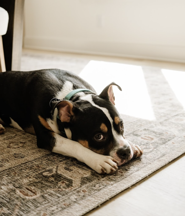 Screenshot 2026-04-03 at 3.29.27 PM.png