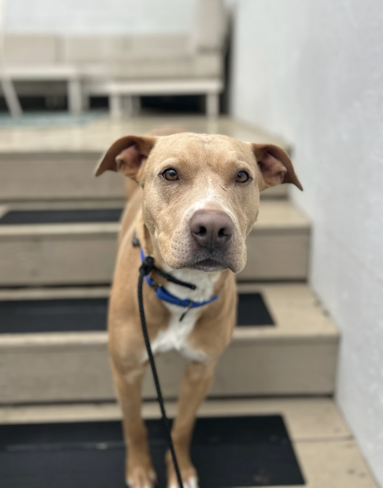 Screenshot 2026-02-19 at 7.30.25 PM.png