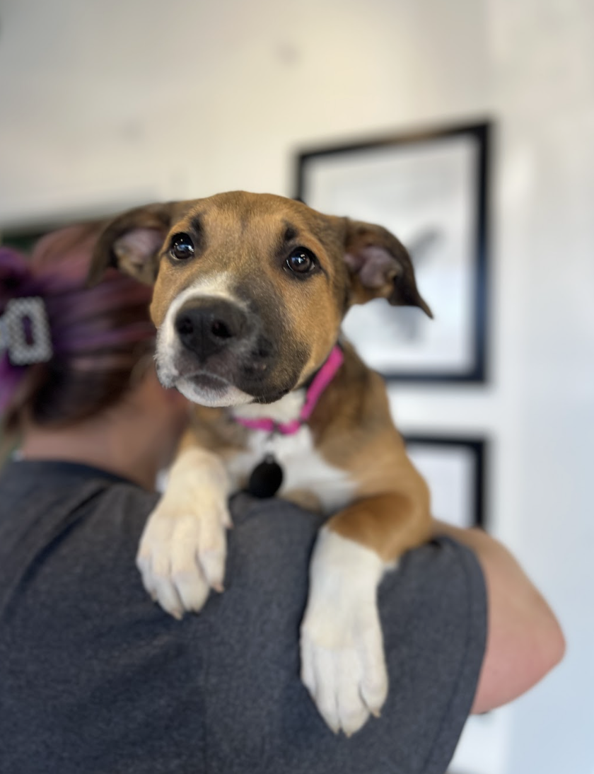 Screenshot 2026-03-20 at 2.33.47 PM.png