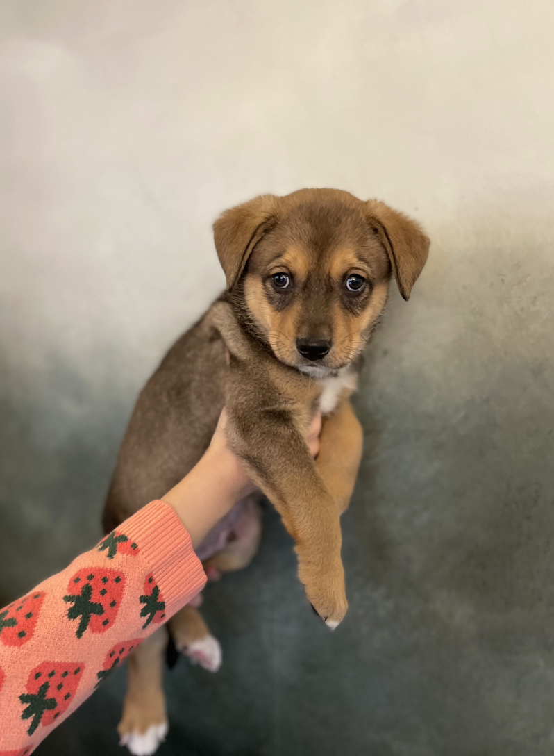 Screenshot 2026-03-05 at 6.13.44 PM.png