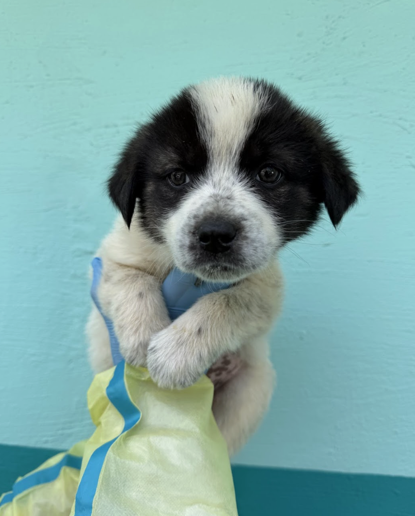 Screenshot 2026-04-13 at 2.36.52 PM.png