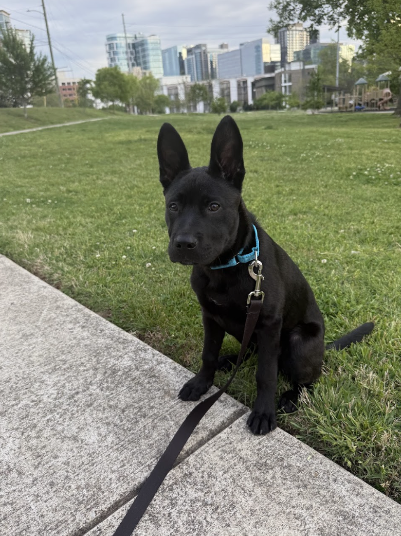 Screenshot 2026-04-23 at 7.38.21 PM.png