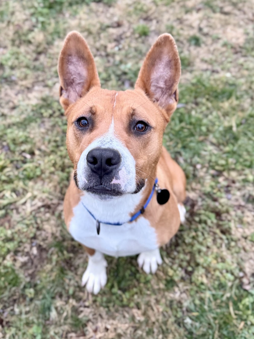 Screenshot 2026-02-25 at 4.31.57 PM.png