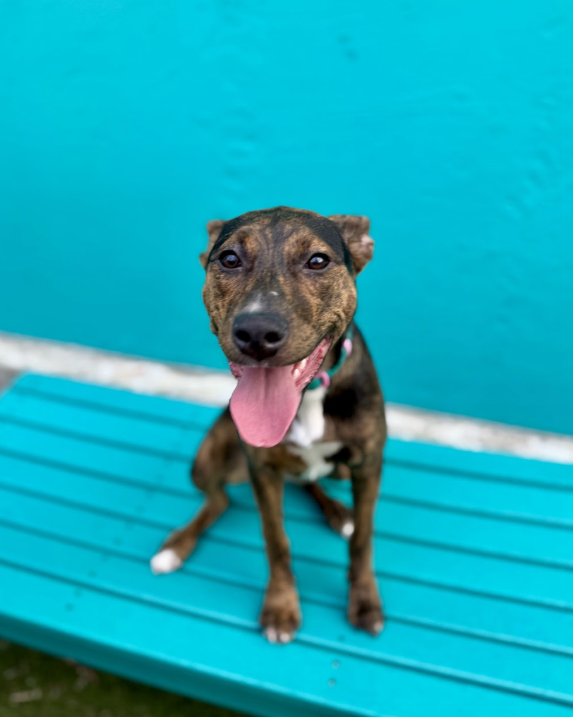 Screenshot 2026-03-12 at 3.03.48 PM.png