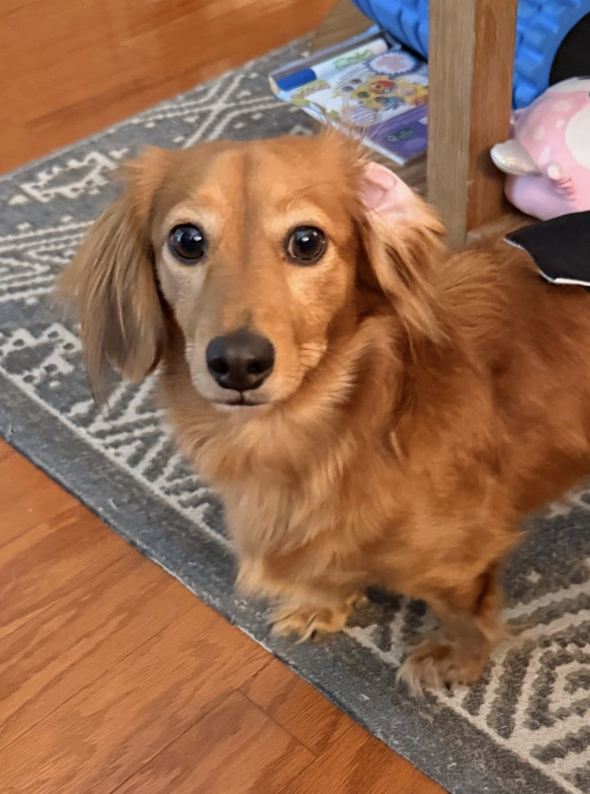 Screenshot 2026-01-20 at 4.59.11 PM.png