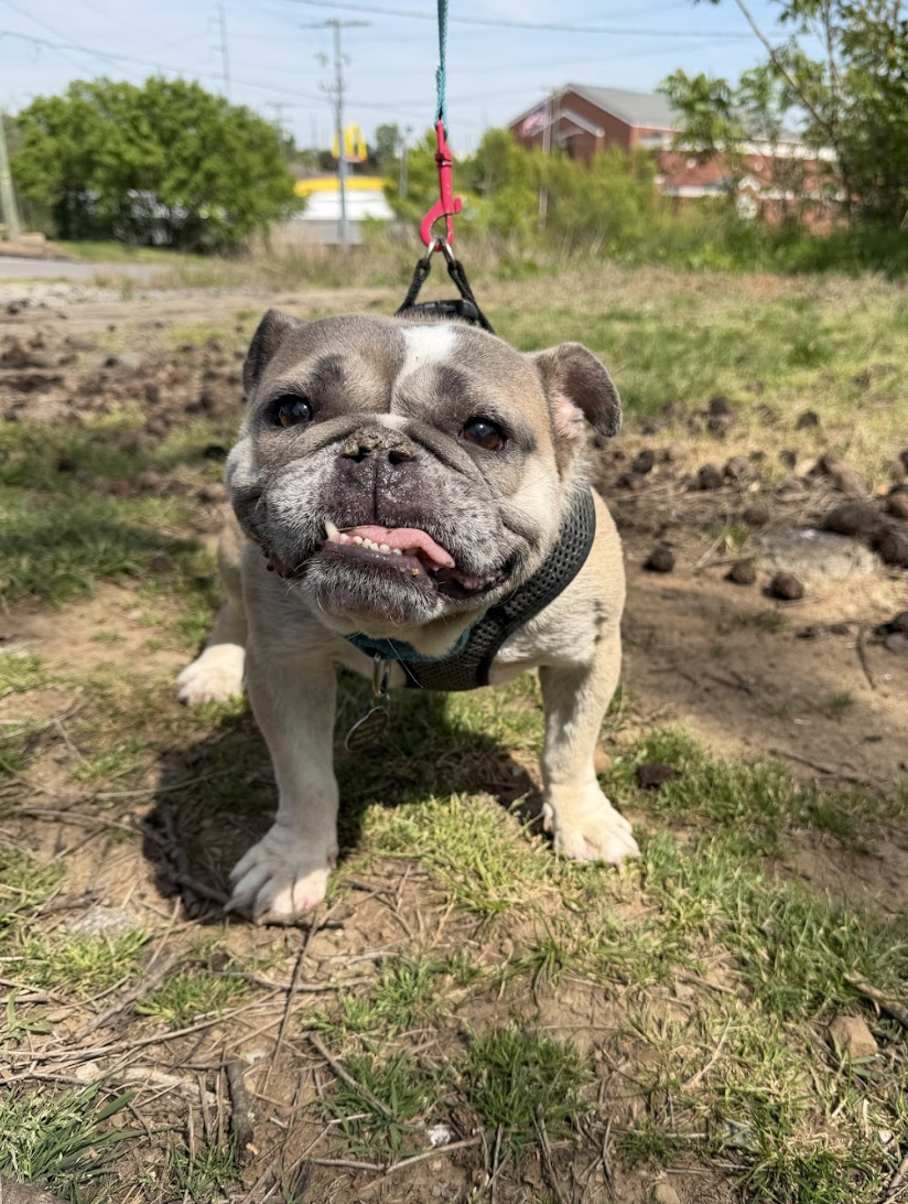 Screenshot 2026-04-22 at 2.36.34 PM.png