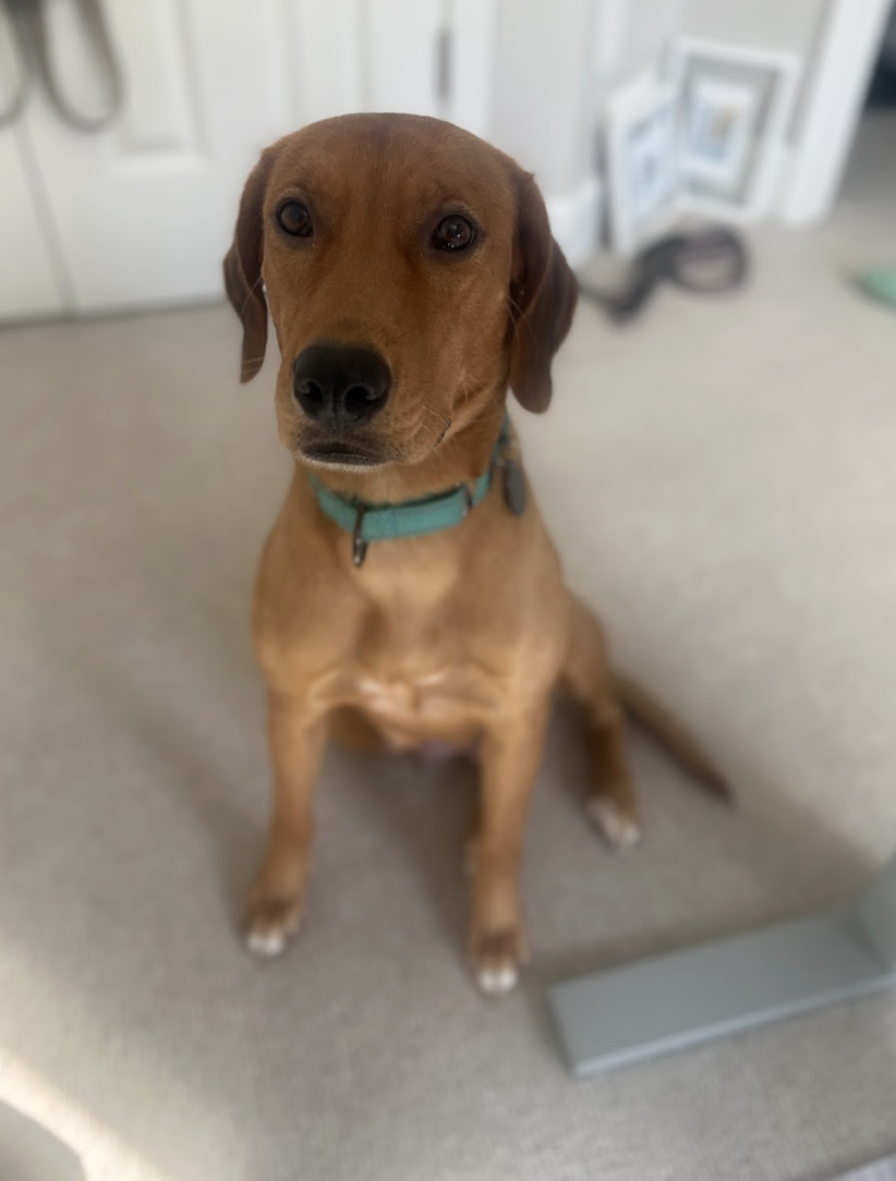 Screenshot 2026-01-14 at 6.56.33 PM.png