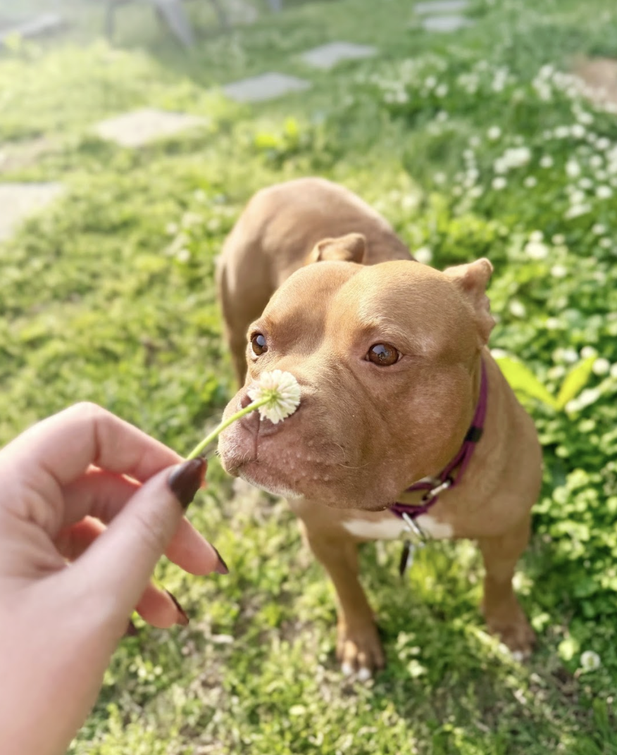 Screenshot 2026-04-22 at 5.56.32 PM.png