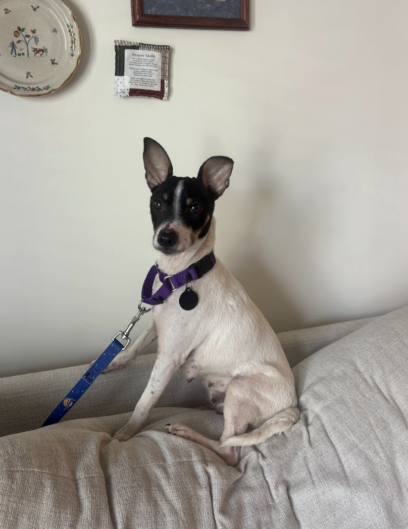 Screenshot 2026-04-21 at 1.48.51 PM.png