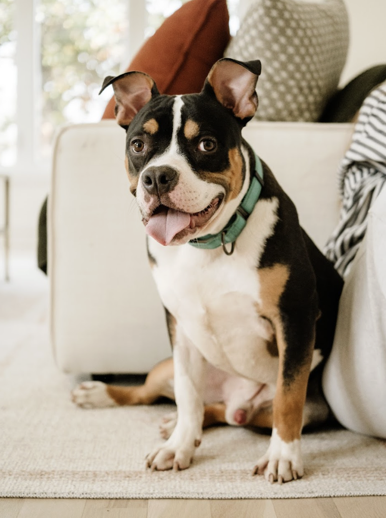 Screenshot 2026-04-03 at 3.29.13 PM.png