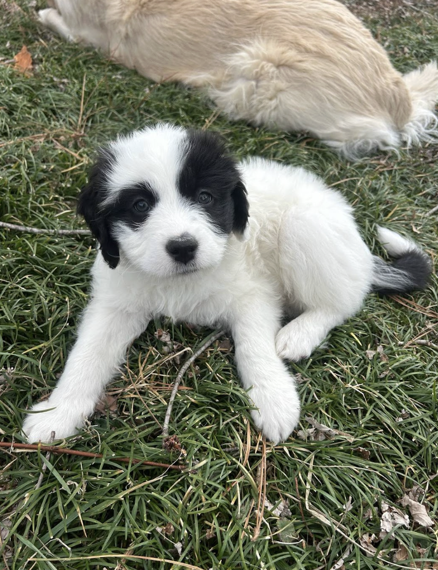 Screenshot 2026-03-10 at 9.00.08 PM.png