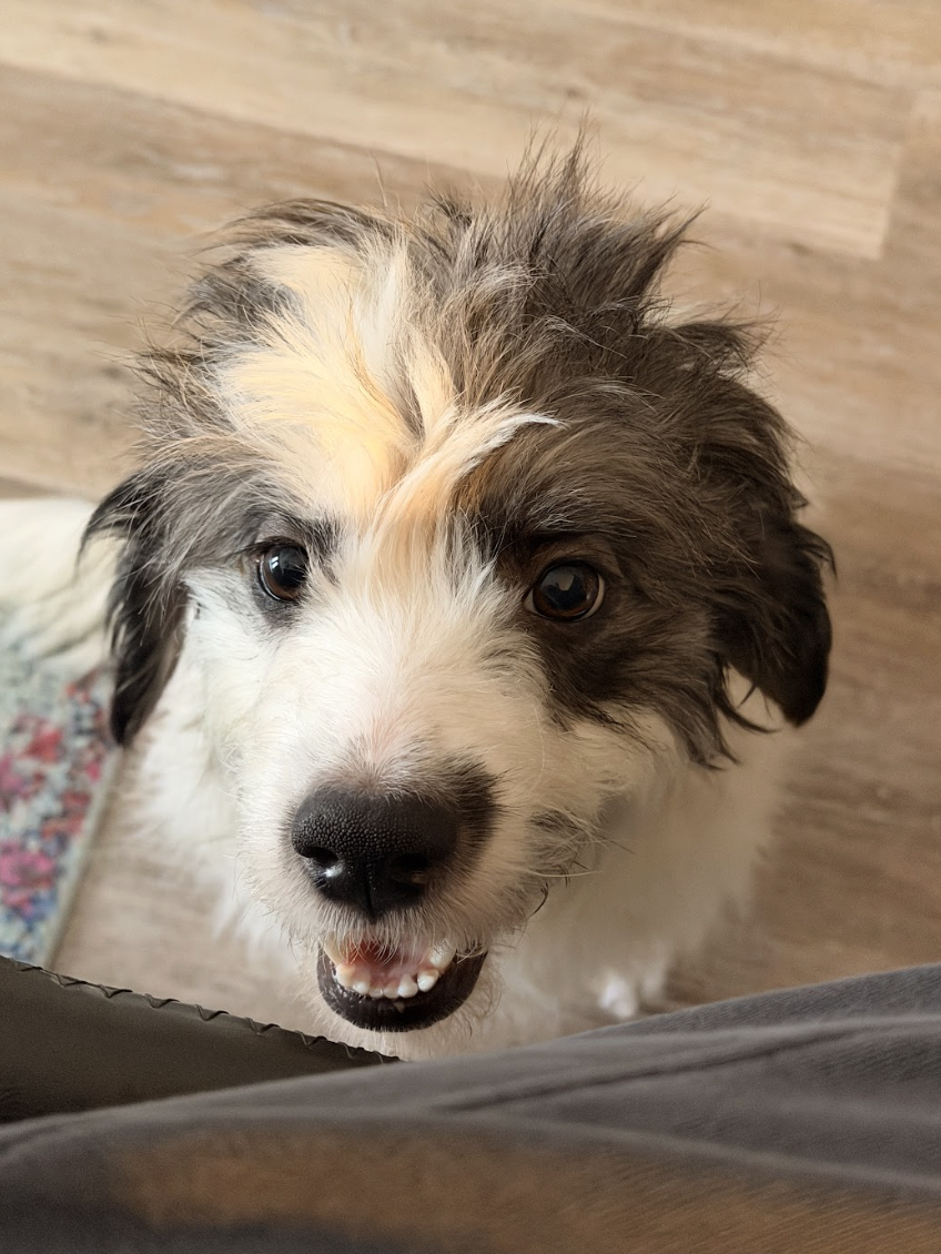 Screenshot 2026-02-28 at 4.17.08 PM.png