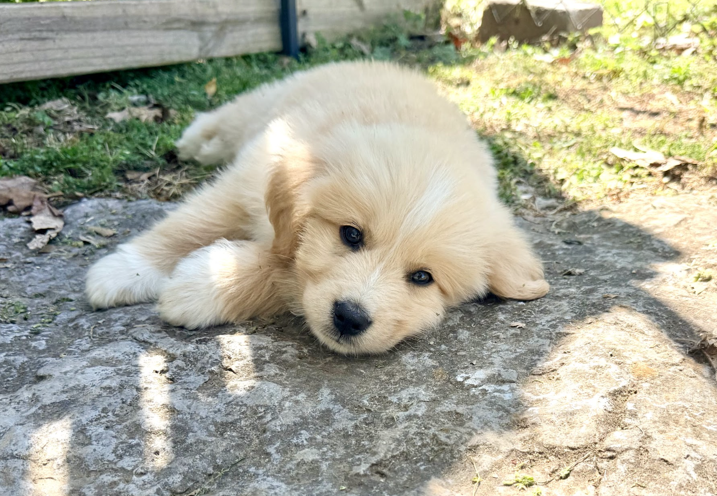 Screenshot 2026-04-16 at 4.52.12 PM.png