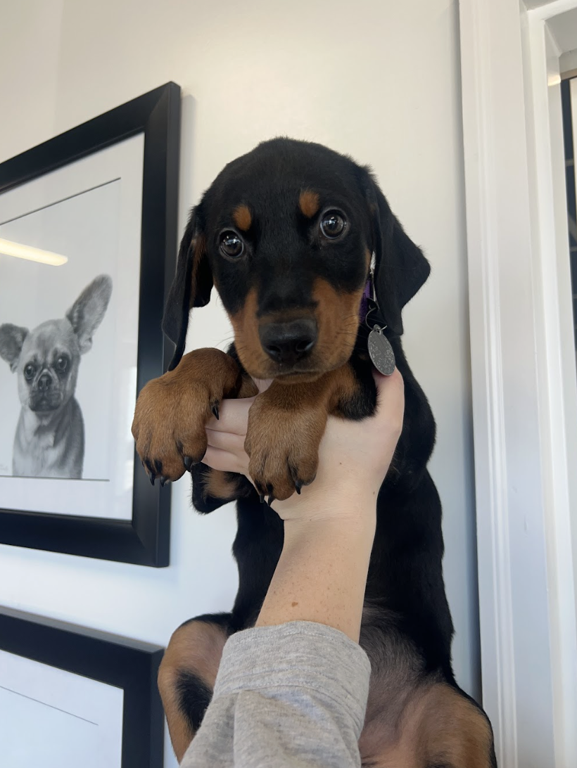 Screenshot 2026-02-06 at 12.32.36 PM.png