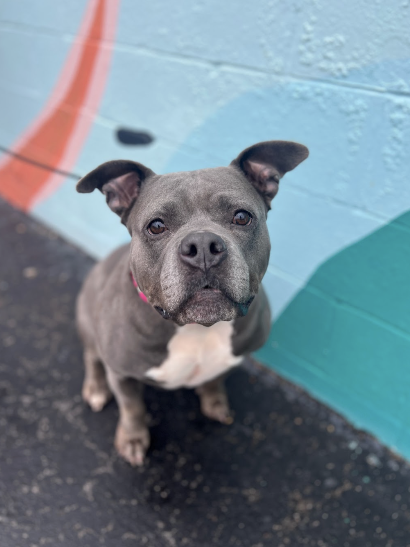 Screenshot 2026-01-15 at 1.38.56 PM.png