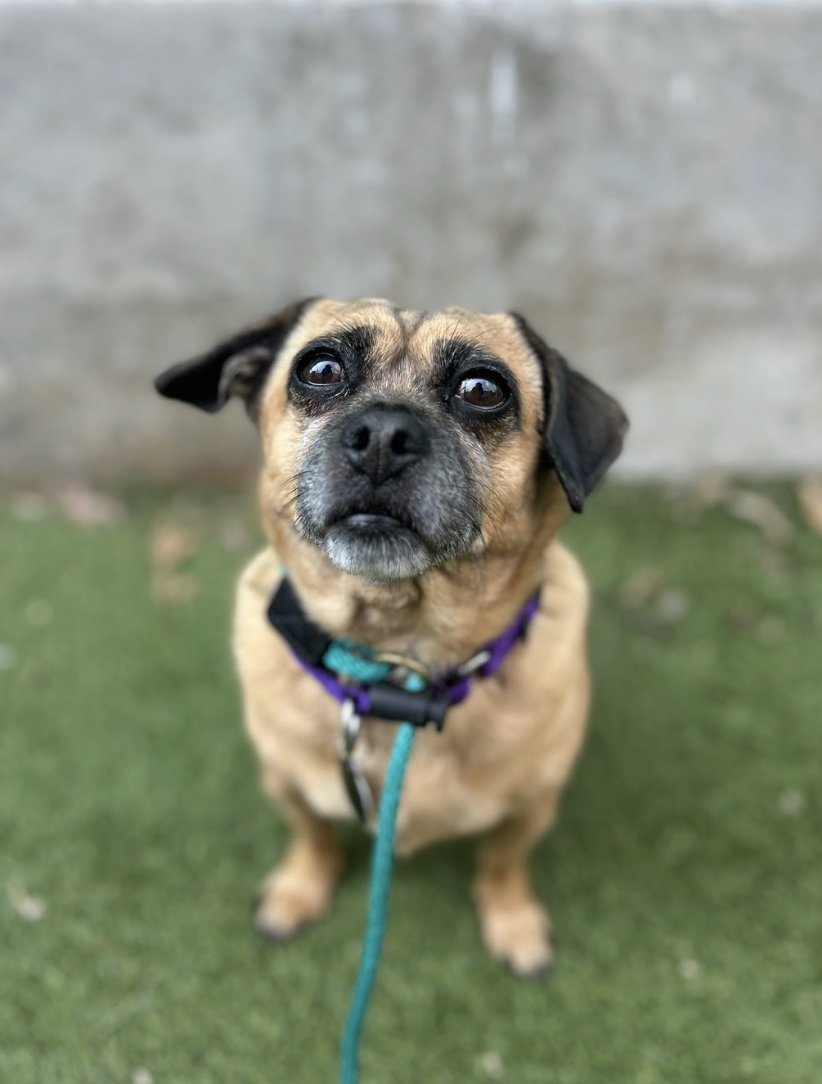 Screenshot 2026-03-20 at 2.32.16 PM.png