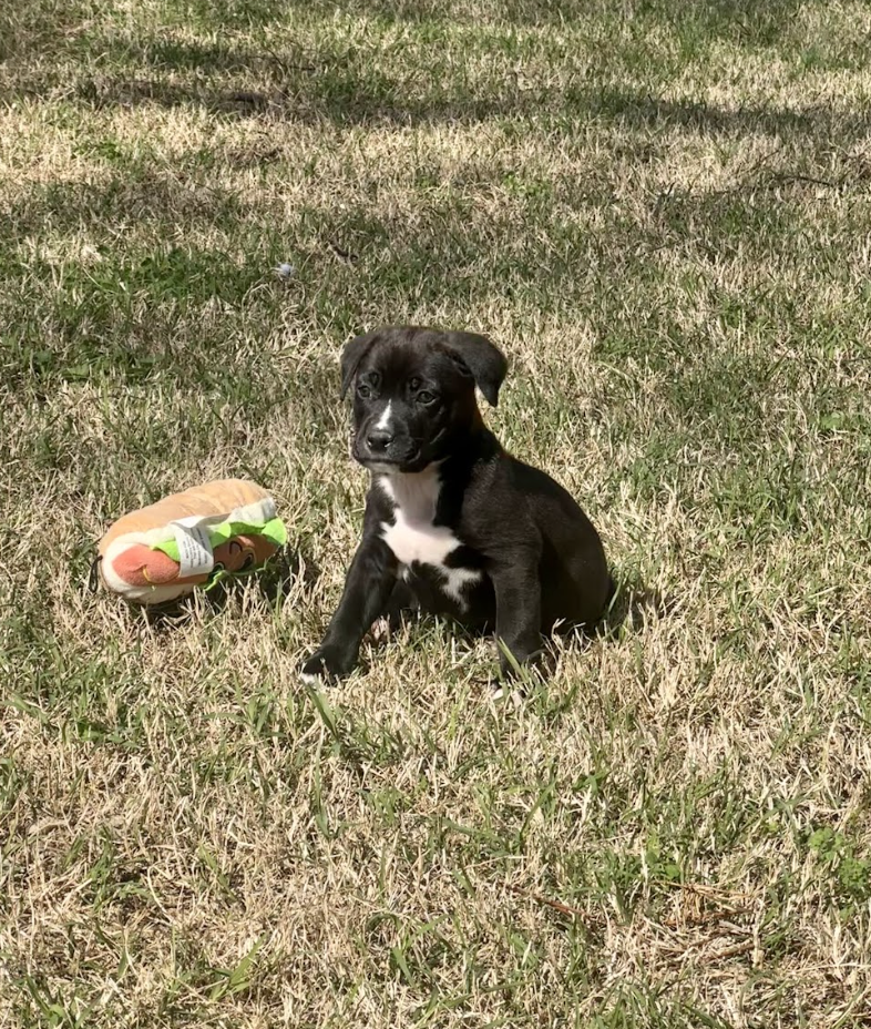 Screenshot 2026-03-20 at 3.02.10 PM.png