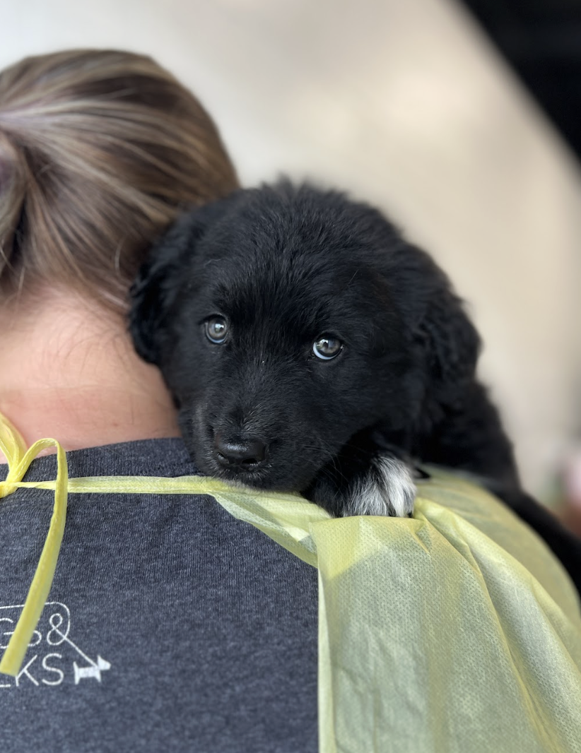 Screenshot 2026-04-16 at 4.21.53 PM.png