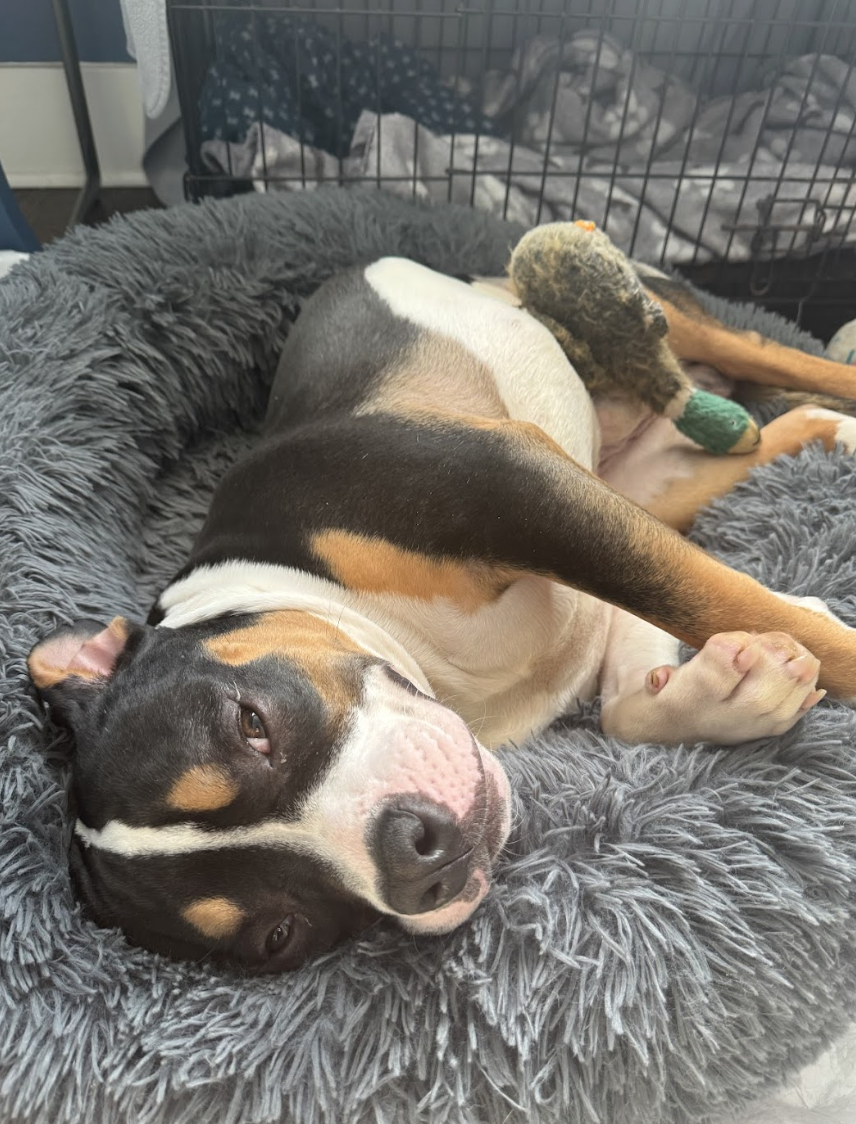 Screenshot 2026-03-06 at 2.20.51 PM.png