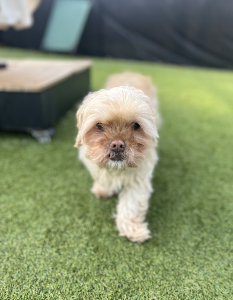 Screenshot 2026-03-06 at 2.47.49 PM.png