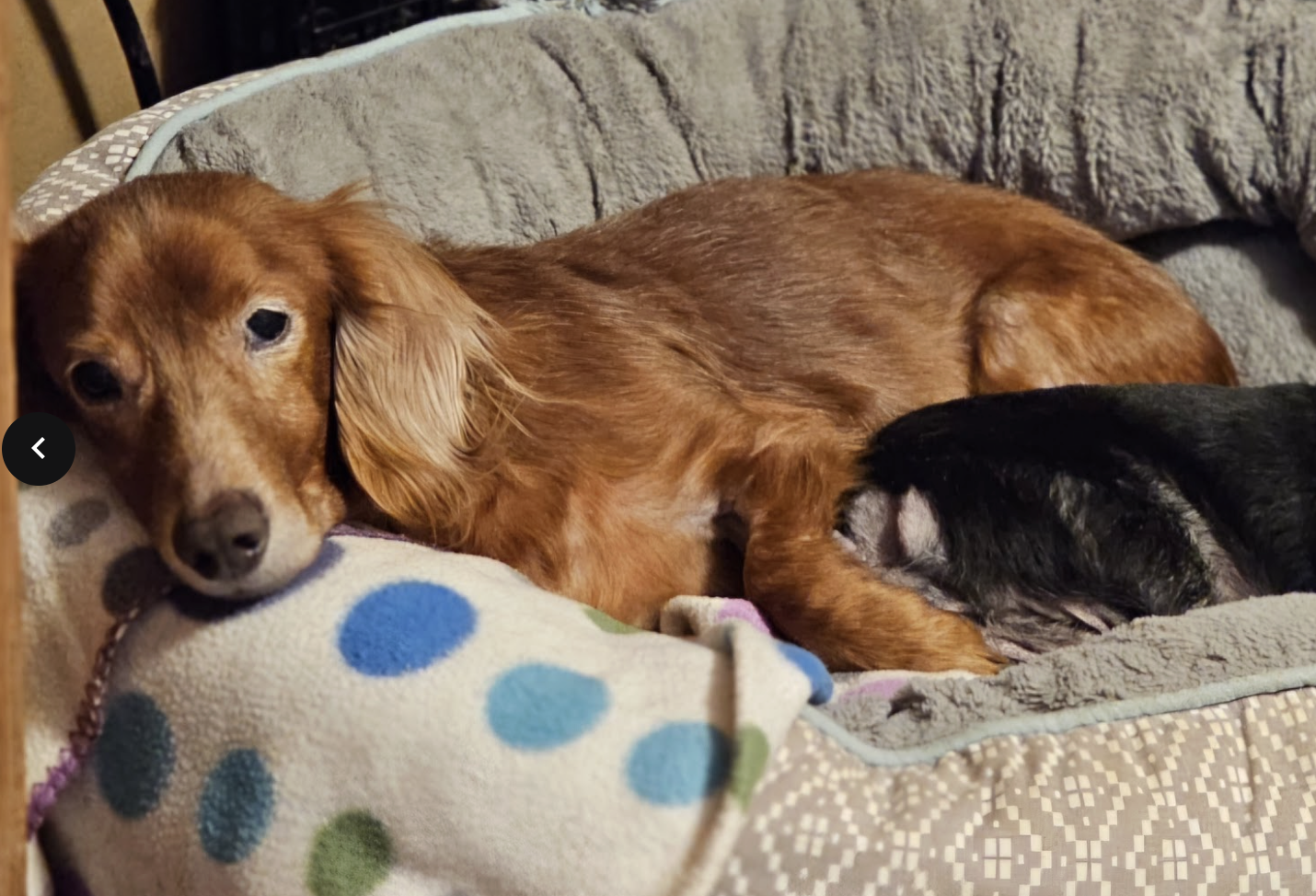 Screenshot 2026-01-28 at 5.08.53 PM.png