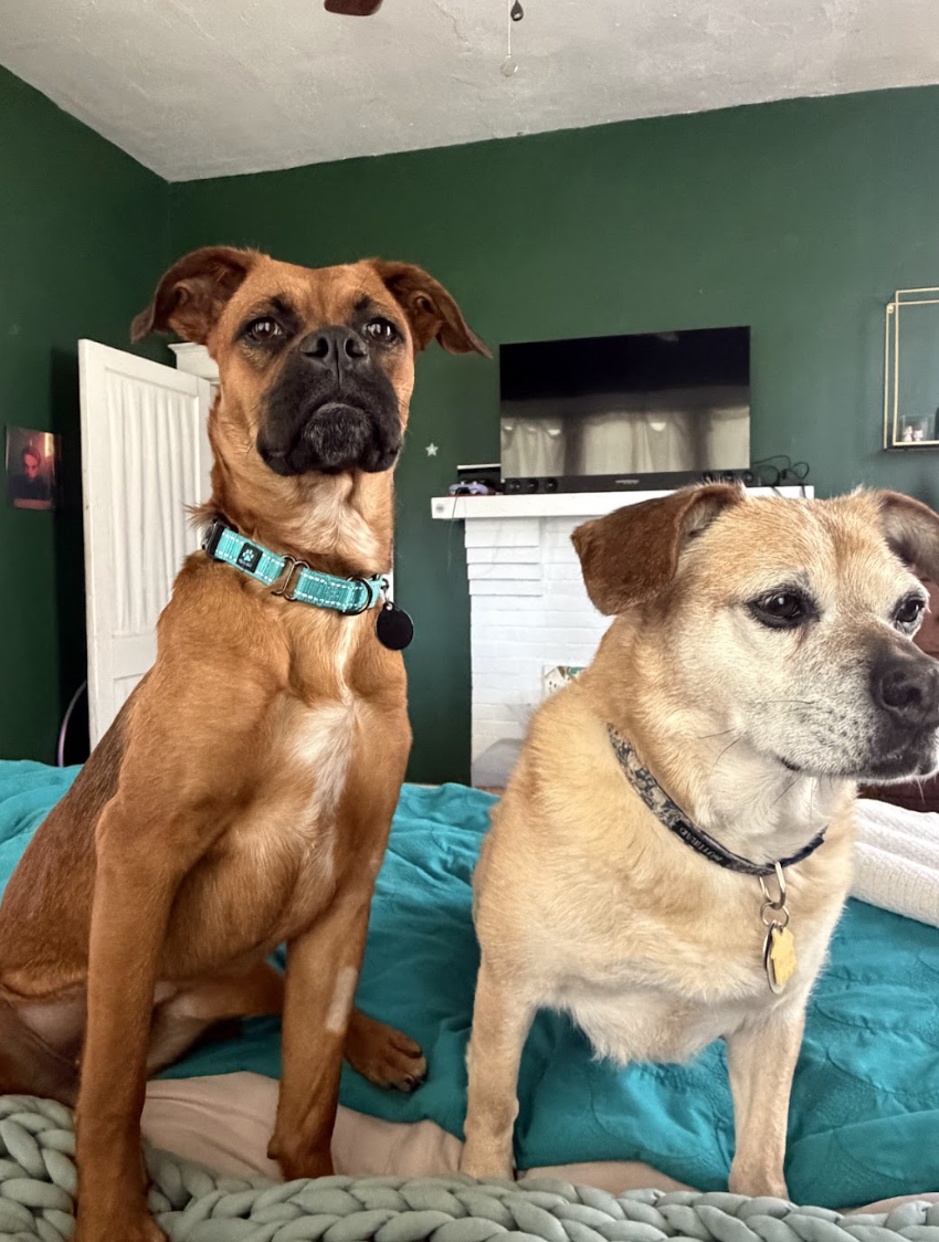 Screenshot 2026-04-22 at 4.04.48 PM.png