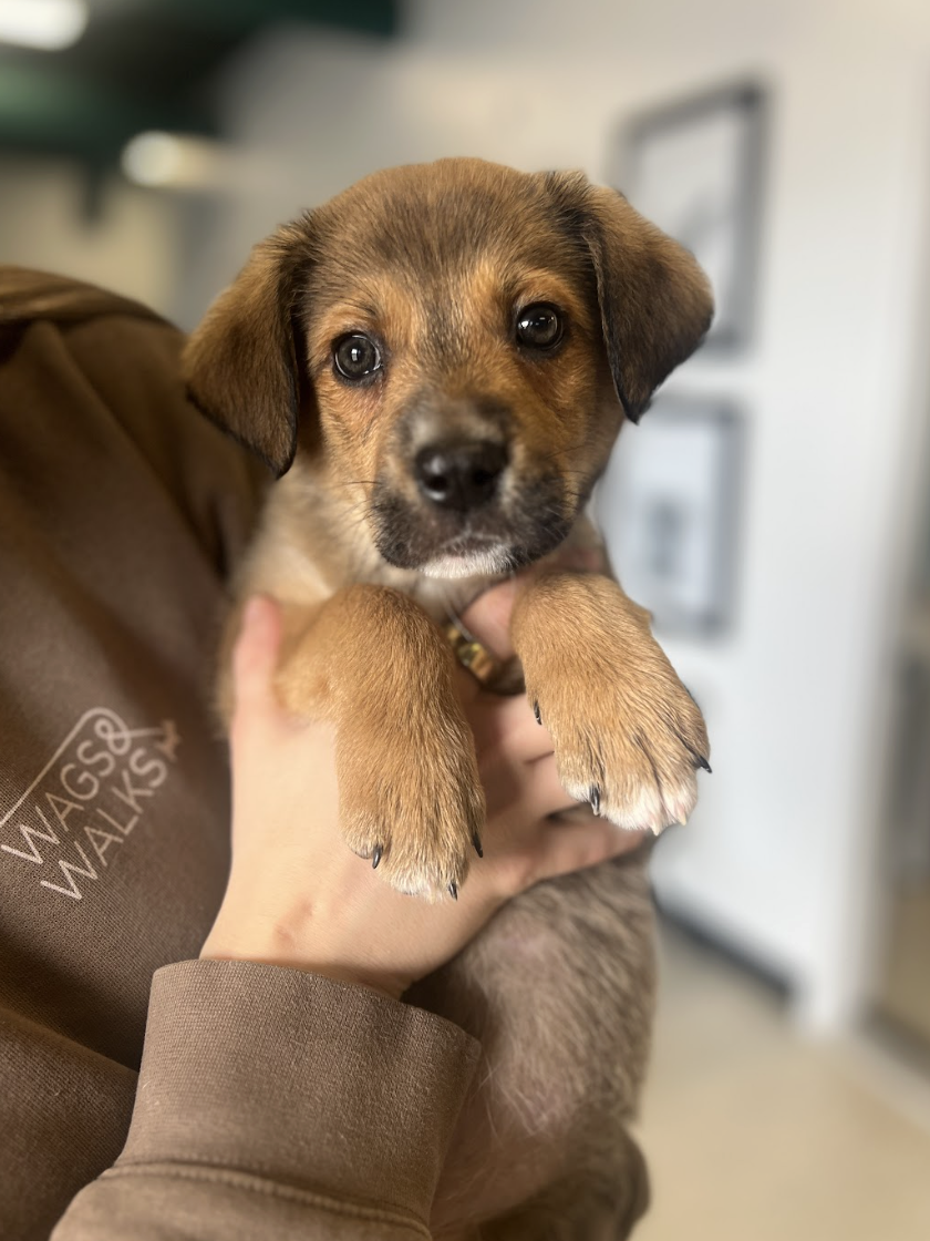 Screenshot 2026-03-06 at 1.06.10 PM.png