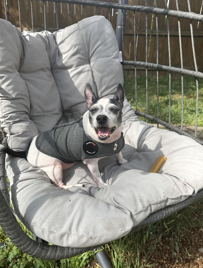 Screenshot 2026-04-22 at 4.13.11 PM.png