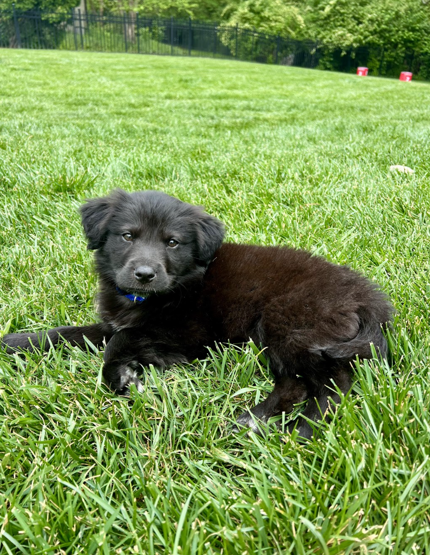 Screenshot 2026-04-16 at 5.00.27 PM.png